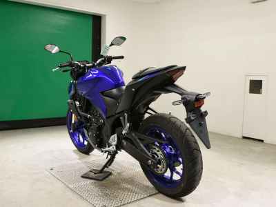 Yamaha MT-25 2022
