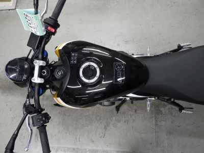 Triumph Trident 660 2026