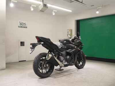 Suzuki GSX250R