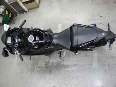 Yamaha YZF-R3 2024