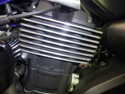 Harley-Davidson Street Rod XG750 2021
