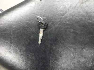 Yamaha XVS250 Drag Star