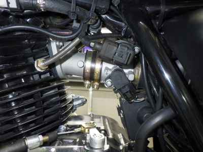Mutt 250