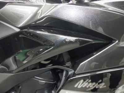 Kawasaki Ninja 1000SX 2021