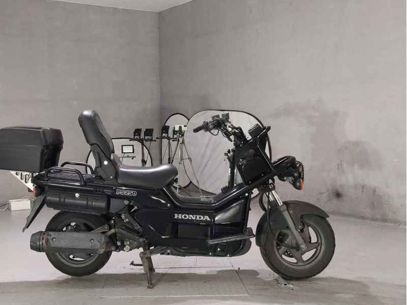 Honda PS250 Big Ruckus