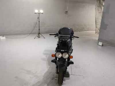 Honda PS250 Big Ruckus