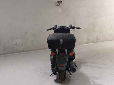 Honda PS250 Big Ruckus