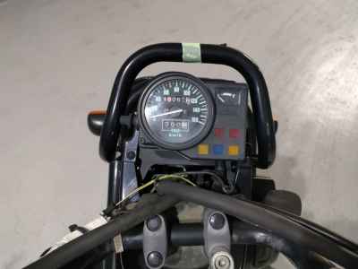 Honda PS250 Big Ruckus