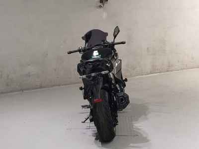 Kawasaki Ninja 1000SX 2020