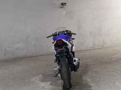 Suzuki GSX250R