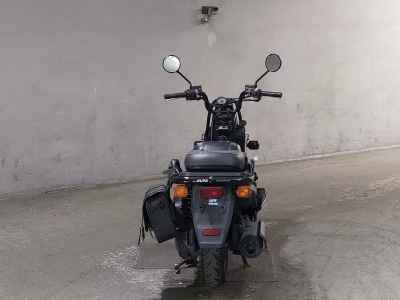 Honda PS250 Big Ruckus 2006