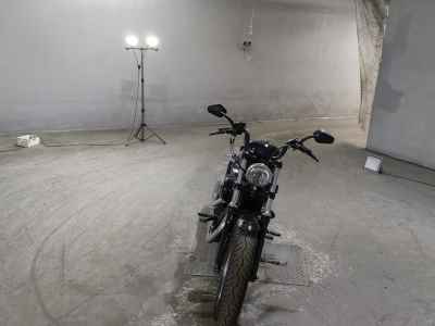 Harley-Davidson Sportster Forty-Eight XL1200X 2014