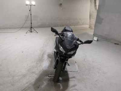 Kawasaki Ninja 250 2019