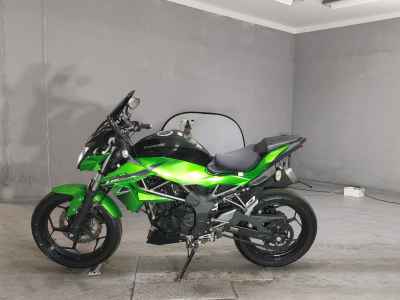 Kawasaki Z250SL 2016