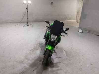 Kawasaki Z250SL 2016
