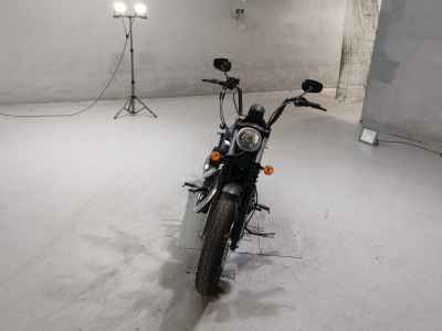 Harley-Davidson Sportster Iron XL883N 2014
