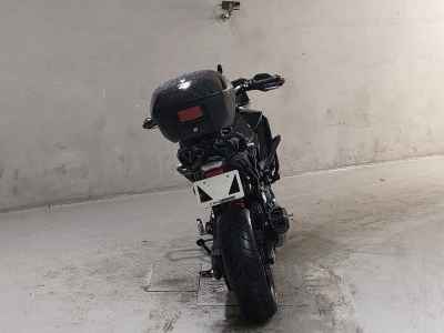 BMW F900XR 2024