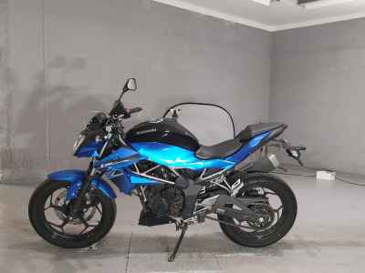 Kawasaki Z250SL 2016