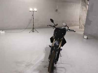 Kawasaki D-Tracker 250 X