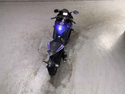 Yamaha YZF-R3 2021