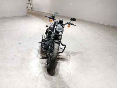 Harley-Davidson Sportster Iron XL883N 2019
