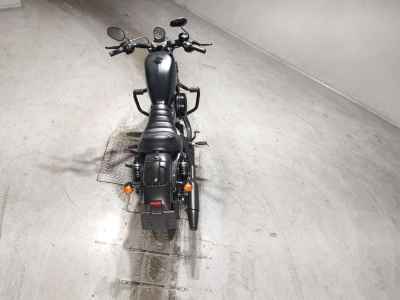 Harley-Davidson Sportster Iron XL883N 2019