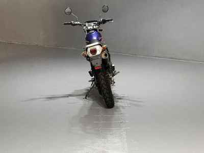 Kawasaki Super Sherpa