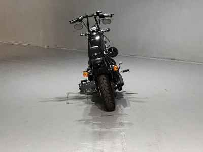 Harley-Davidson Sportster Forty-Eight XL1200X 2020