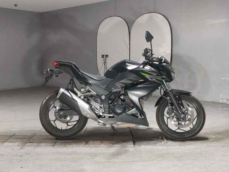Kawasaki Z250 2013
