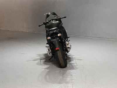 Kawasaki Ninja 1000 2015