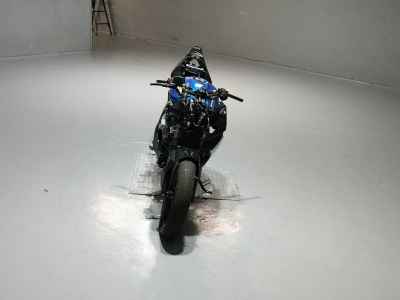Suzuki GSX250R