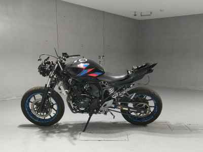Suzuki GSX250R