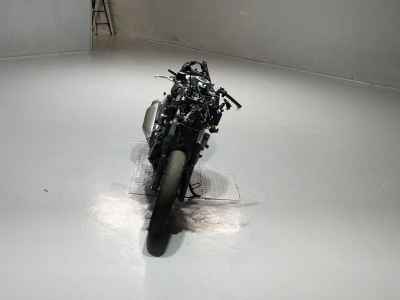 Suzuki GSX250R