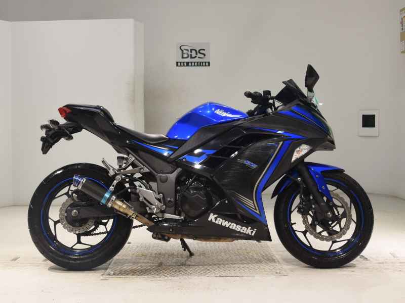 Kawasaki Ninja 250 2015