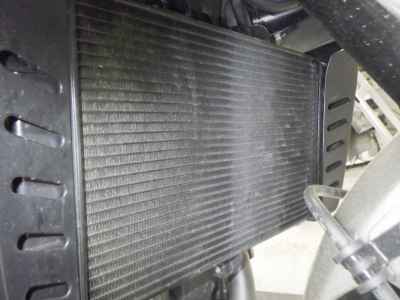 Honda Hawk 11 2023