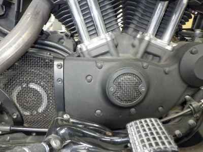 Harley-Davidson Roadster XL1200CX 2016