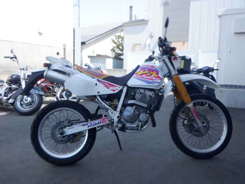 Suzuki DR250R