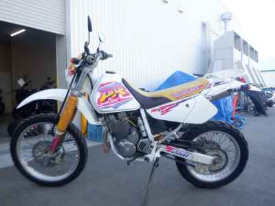 Suzuki DR250R
