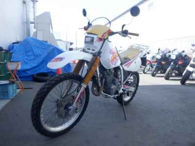 Suzuki DR250R