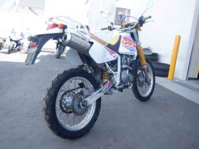 Suzuki DR250R