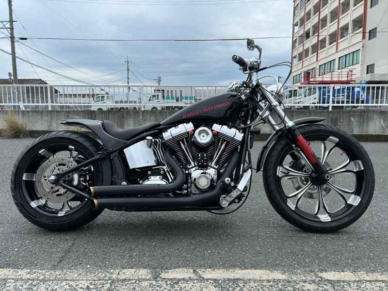 Harley-Davidson Softail FXST1580 2007