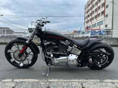 Harley-Davidson Softail FXST1580 2007
