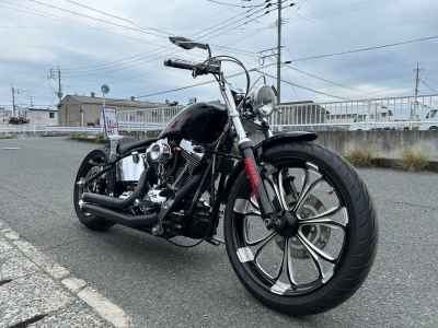Harley-Davidson Softail FXST1580 2007