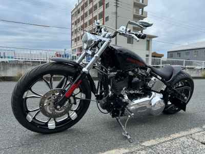 Harley-Davidson Softail FXST1580 2007
