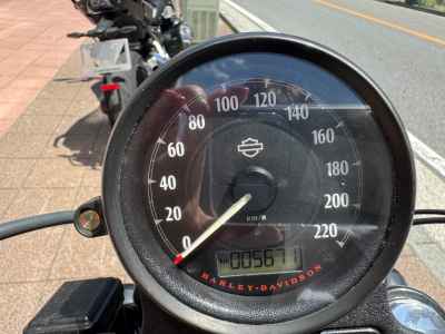 Harley-Davidson ｰXL883 2019