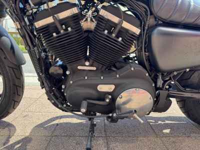 Harley-Davidson ｰXL883 2019