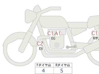 Kawasaki W800 2020
