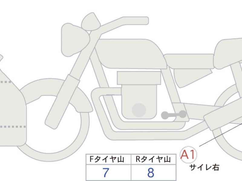 Kawasaki Ninja 250