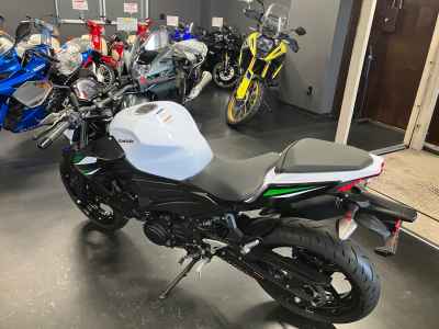 Kawasaki Z400 2019