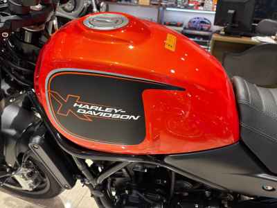 Harley-Davidson ｰX500 2023